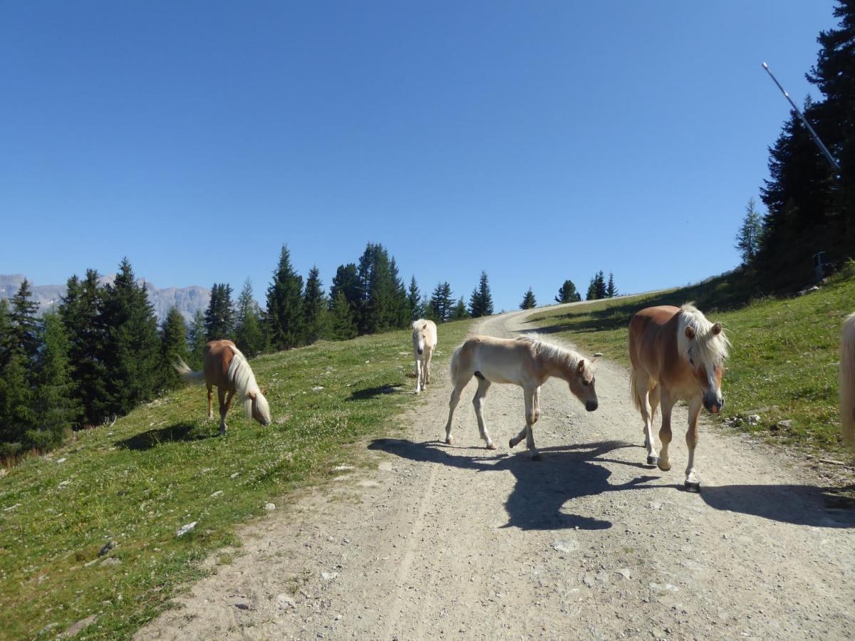 Bergflair Lägenhet See Exteriör bild